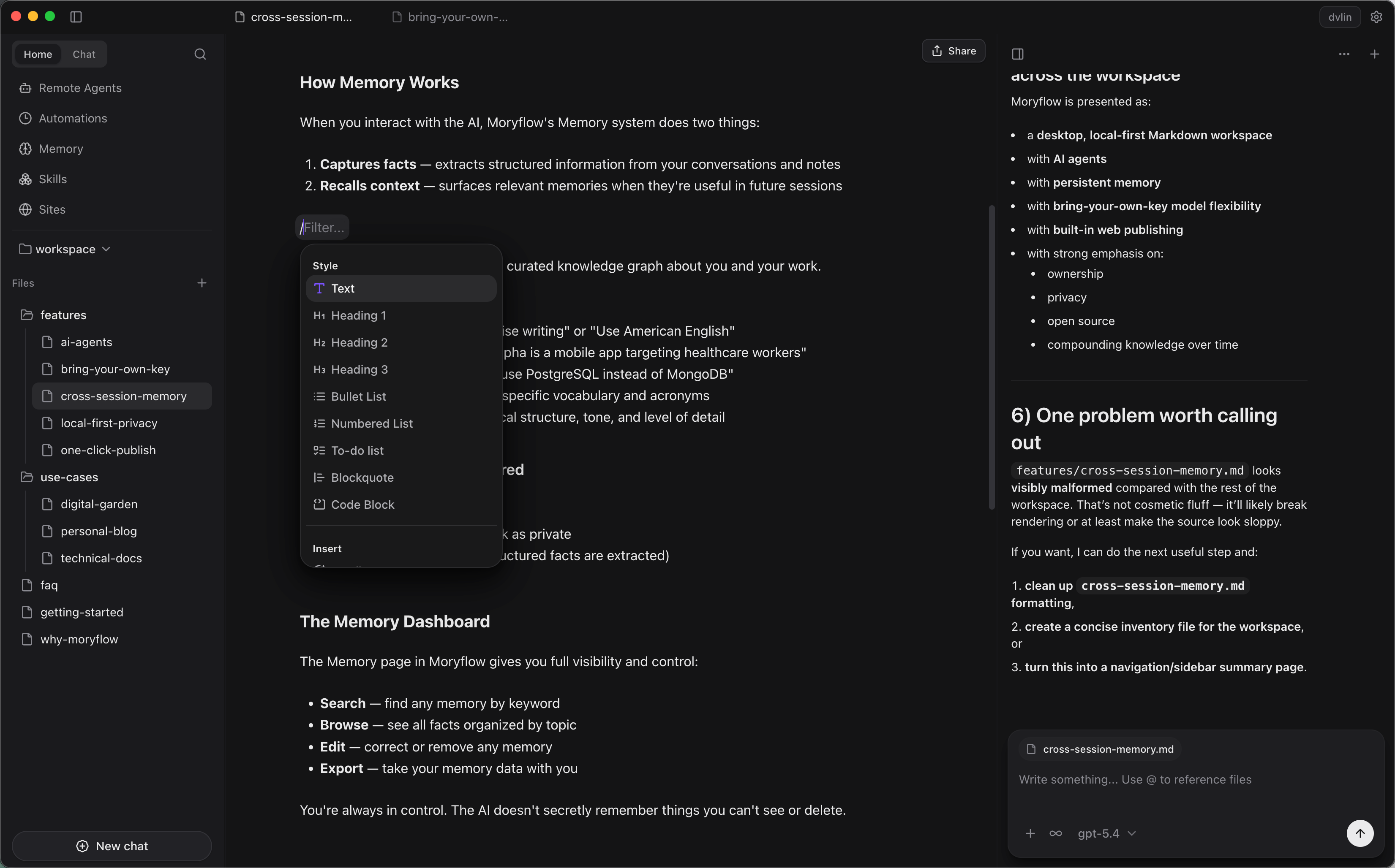 Moryflow workspace overview